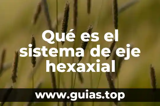 Que es eje de comunicación 6 Qué es el sistema de eje hexaxial