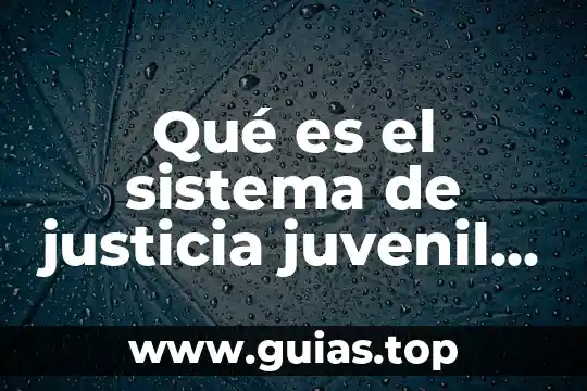 Para que es importante saber la concentración de un compuesto 5 Qué es el sistema de justicia juvenil en México