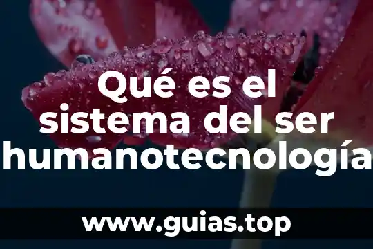 Que es ser garante en derecho penal 8 Qué es el sistema del ser humanotecnología