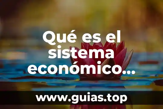 Que es el neoliberalismo en pocas palabras 3 Qué es el sistema económico neoliberalismo
