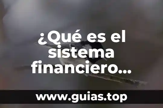 Qué es el escudo financiero de México 7 ¿Qué es el sistema financiero mexicano?