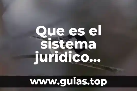 Que es ente concepto juridico 8 Que es el sistema juridico religioso