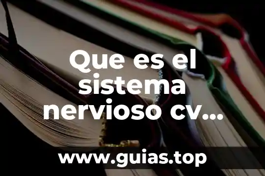 Que es el terminal nervioso 7 Que es el sistema nervioso cv entral y periferico