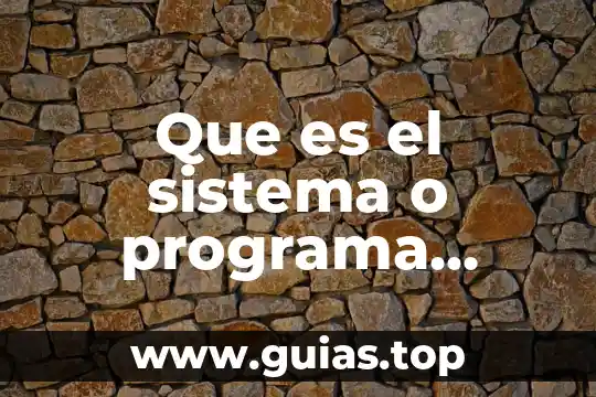 Que es ser arena 3 Que es el sistema o programa arena