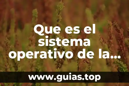 Qué es la teoría de la enfermeria científica 8 Que es el sistema operativo de la sep