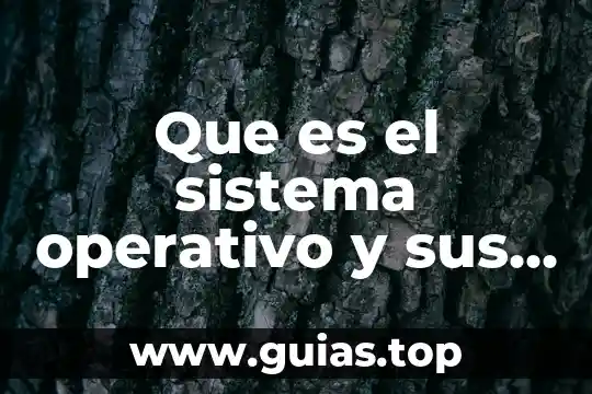 Que es la resporaciom y sus tipos 5 Que es el sistema operativo y sus tipos