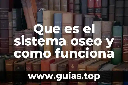 Que es el estudio oseo 8 Que es el sistema oseo y como funciona