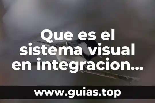 Que es la rietlno visual y los tipos que comprende 8 Que es el sistema visual en integracion sensorial
