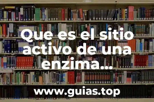 Qué es ser pasivo activo proactivo y reactivo 4 Que es el sitio activo de una enzima sustrato