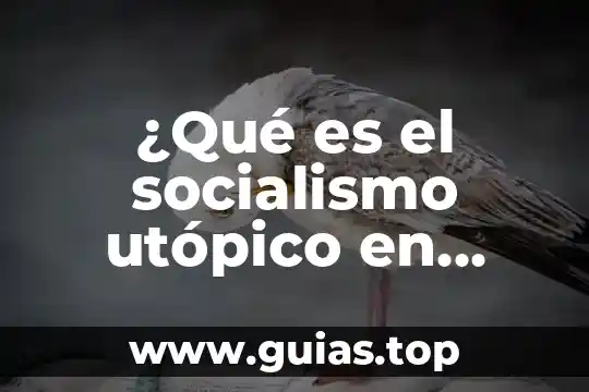Que es el pensamiento filosofico marxista del socialismo 3 ¿Qué es el socialismo utópico en historia?