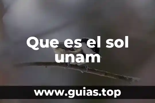 Que es que en ingles 6 Que es el sol unam