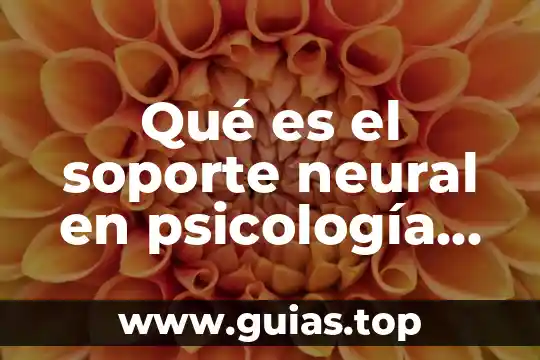 Que es diseño experimental de la psicologia 8 Qué es el soporte neural en psicología experimental