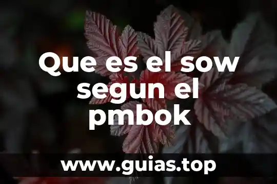 Que es la moral segun diferentes autores 6 Que es el sow segun el pmbok