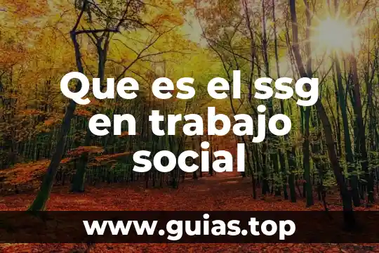 Trabajo de planta que es 4 Que es el ssg en trabajo social