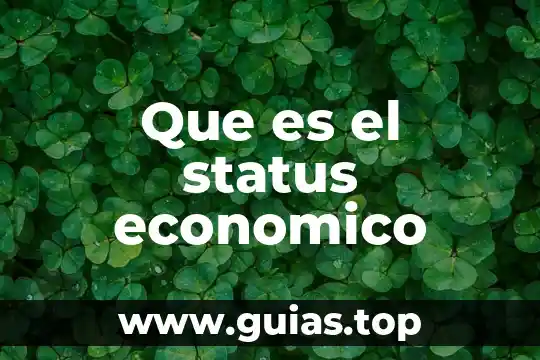 Qué es el predominio económico 3 Que es el status economico