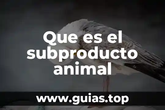 Que es el derecho penal nuclear 5 Que es el subproducto animal