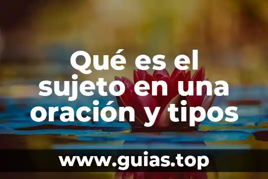 Que es una oracion topica y ejemplo 5 Qué es el sujeto en una oración y tipos