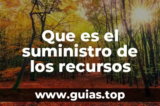 Que es suministro y sanemiento de agua 8 Que es el suministro de los recursos