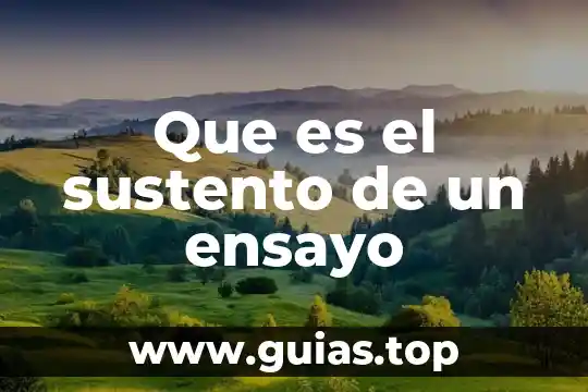 Que es el ensayo de fuego fracof 6 Que es el sustento de un ensayo