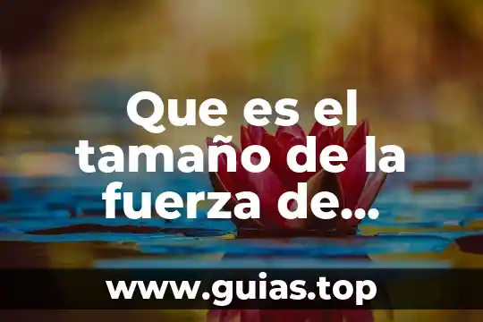 Qué es la ciencia y tecnología concepto 5 Que es el tamaño de la fuerza de ventas