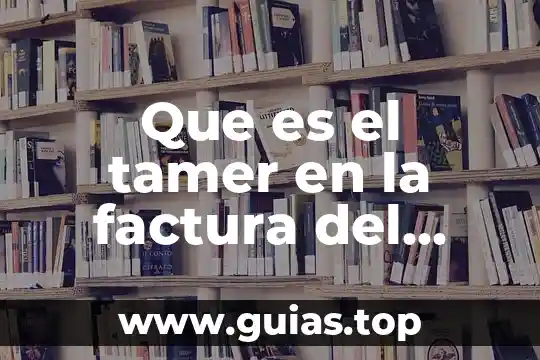 Que es soñar con mucha gente y agua 8 Que es el tamer en la factura del agua