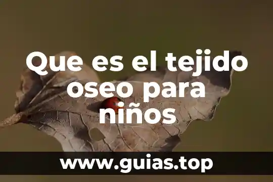 Que es el sistema oseo y como funciona 5 Que es el tejido oseo para niños