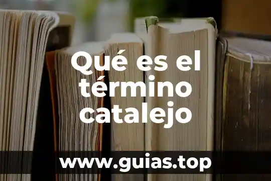 Qué es término anglosajón de marketing 5 Qué es el término catalejo