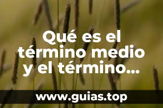 Qué es una ecuación en término cuadrático 5 Qué es el término medio y el término mayor