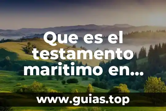 Que es cúrcuma y donde se compra en méxico 6 Que es el testamento maritimo en mexico