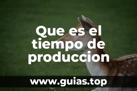 Que es el tiempo pasado compuesto 7 Que es el tiempo de produccion
