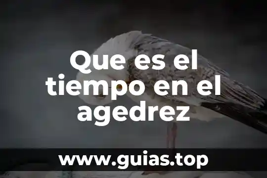 Que es tiempo de trabajo 3 Que es el tiempo en el agedrez