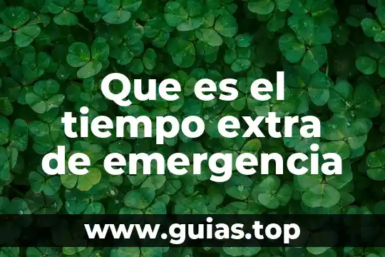 Que es una planta de emergencia y para que sirve 8 Que es el tiempo extra de emergencia