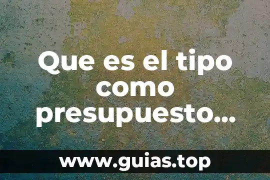 Que es el concepto de presupuesto 8 Que es el tipo como presupuesto general del delito