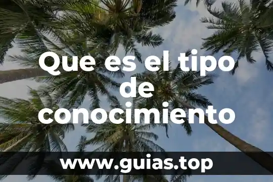 Tipo de cambio definición qué es y concepto economipedia 6 Que es el tipo de conocimiento