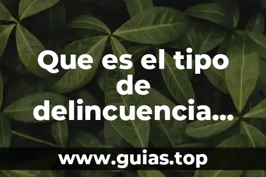 Qué es violencia intrafamiliar concepto 5 Que es el tipo de delincuencia de violencia