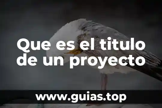 Que es no ser minucioso 5 Que es el titulo de un proyecto