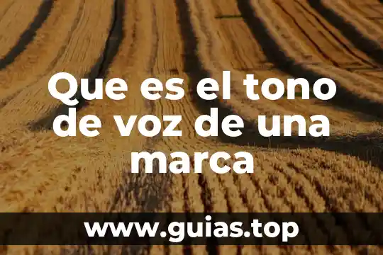 Qué es marca y qué signo marcario 4 Que es el tono de voz de una marca