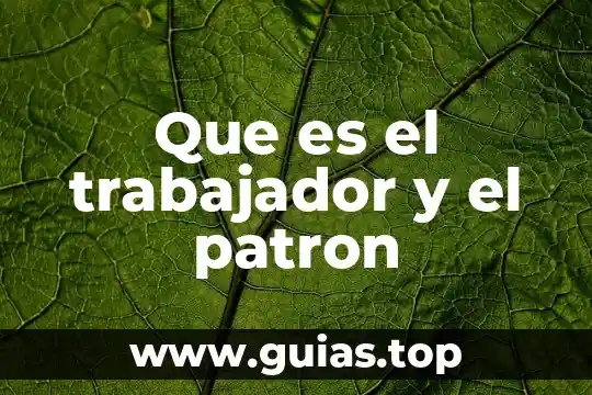 Que es un patron y trabajador en la ley 6 Que es el trabajador y el patron