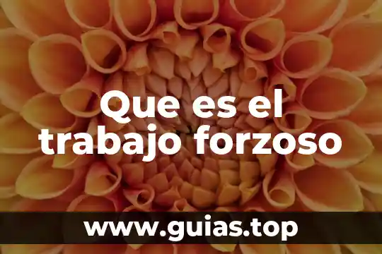 Que es un trabajo de ensayo 3 Que es el trabajo forzoso