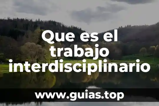 Que es esencia en la ciencia 5 Que es el trabajo interdisciplinario