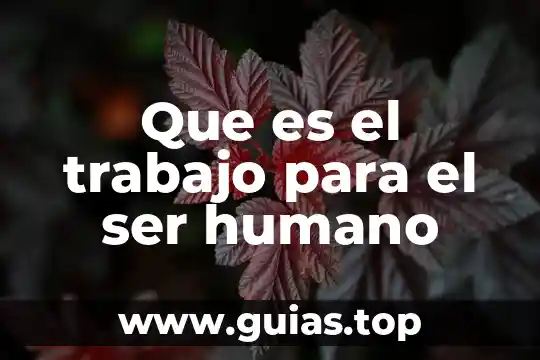 Que es trabajo w 7 Que es el trabajo para el ser humano