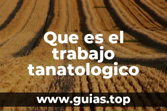 Que es el comite de la cruz roja internacional 7 Que es el trabajo tanatologico