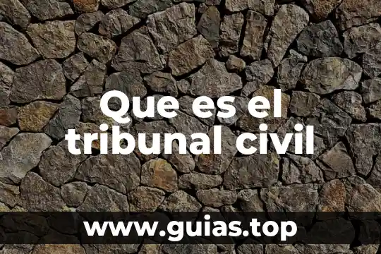 Que es el nombre en el derecho civil 8 Que es el tribunal civil