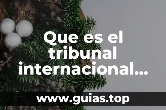 Que es el festival internacional cervantino 5 Que es el tribunal internacional del mar