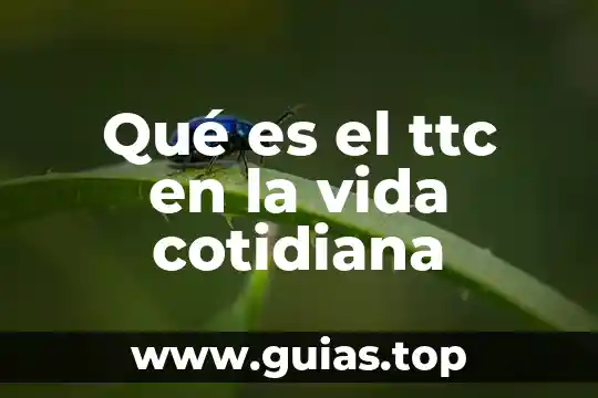 Conclusión de que es la vida 3 Qué es el ttc en la vida cotidiana
