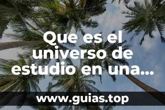 Que es una encuesta ejemplo para niños 3 Que es el universo de estudio en una encuesta