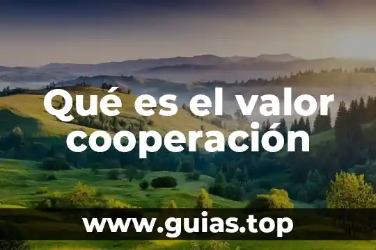 Que es cooperacion de los juegos 4 Qu茅 es el valor cooperaci贸n
