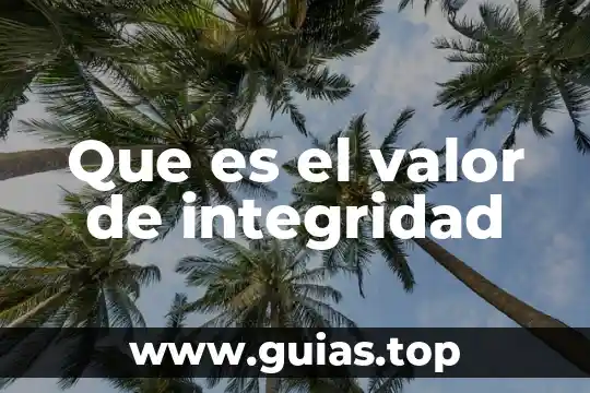 Que es la libertad es un valor 3 Que es el valor de integridad
