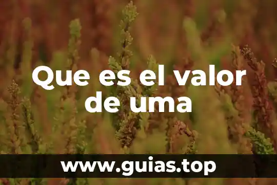 Que es una uma en contabilidad 7 Que es el valor de uma