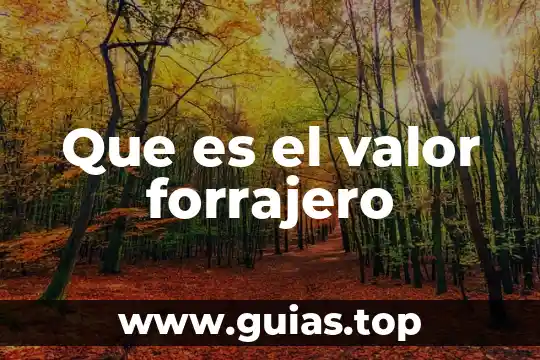 Que es cadena regional de valor 8 Que es el valor forrajero